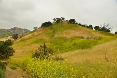 DSC_6498 (Large).JPG